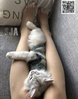 大明星从军记