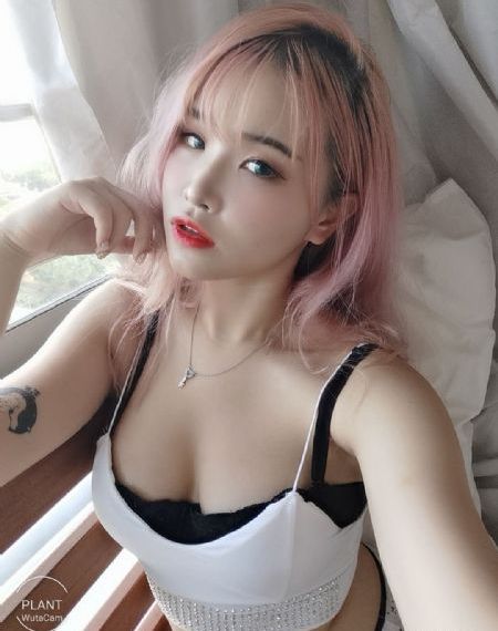 泰迪熊1高清免费完整版在线观看