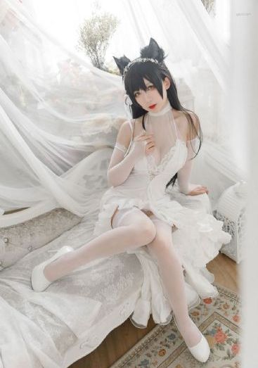 古相思曲在线播放免费观看全集