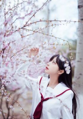 你就是我的全部短剧免费观看